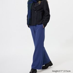 Uniqlo Warm Fleece Straight Pants